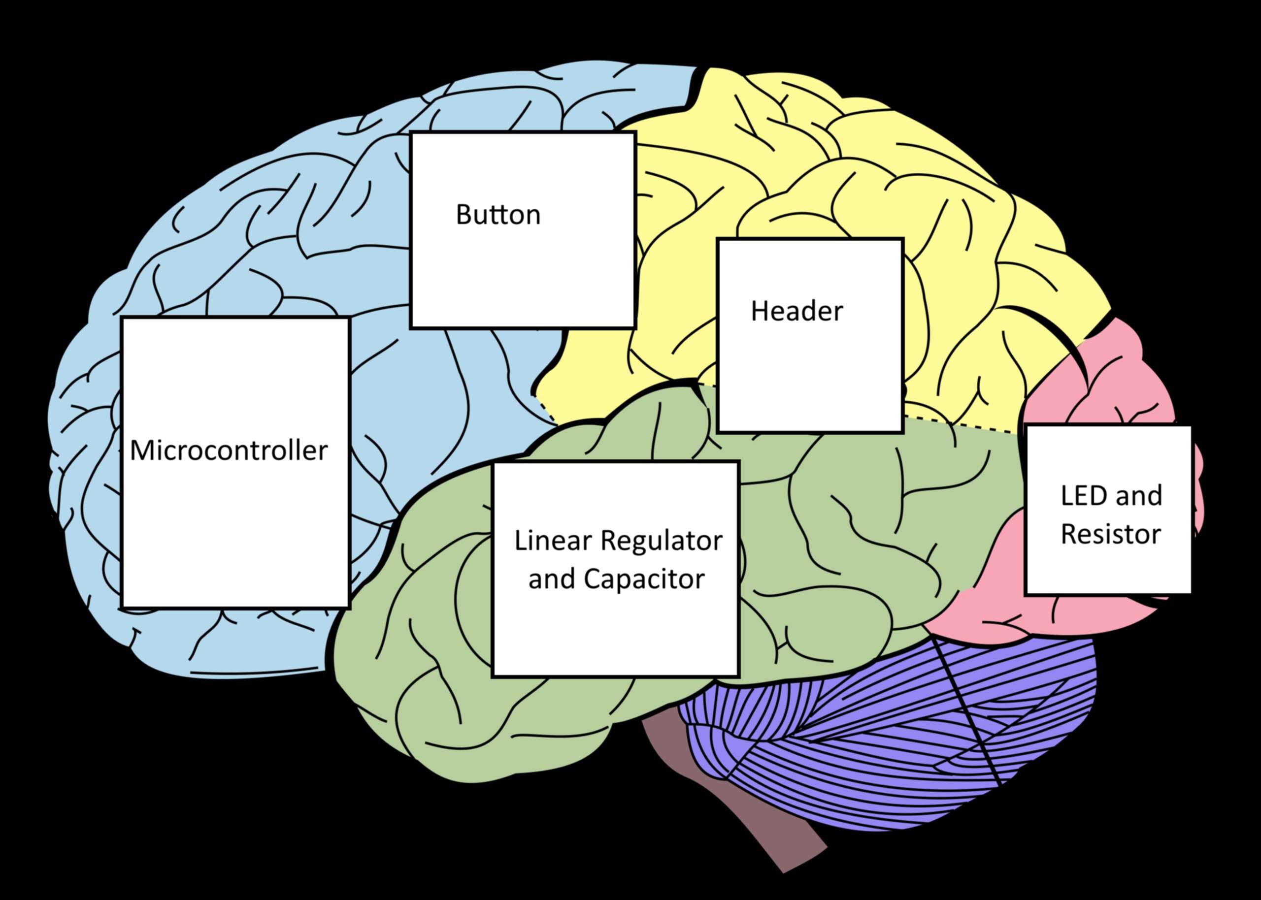 Map of Brain with Components laid out where I want them